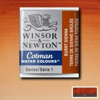 ACUARELA COTMAN EN PASTILLA BURNT SIENNA 0301074 - WINSOR & NE