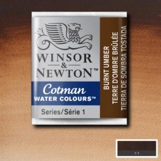 ACUARELA COTMAN EN PASTILLA BURNT UMBER 0301076 - WINSOR & NE