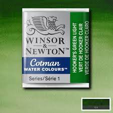 ACUARELA COTMAN EN PASTILLA HOOKERS GREEN LGT 0301314 - WINSOR & NE
